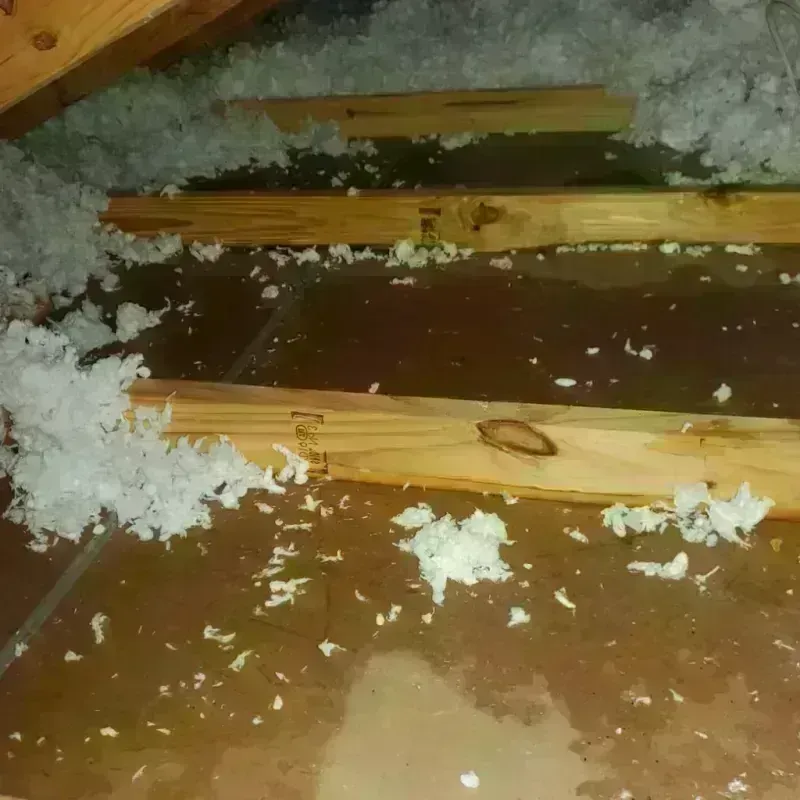 Attic Water Damage in Malverne, NY